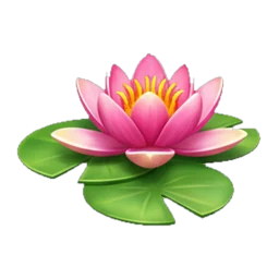 Water lily