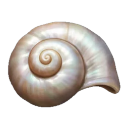 Seashell